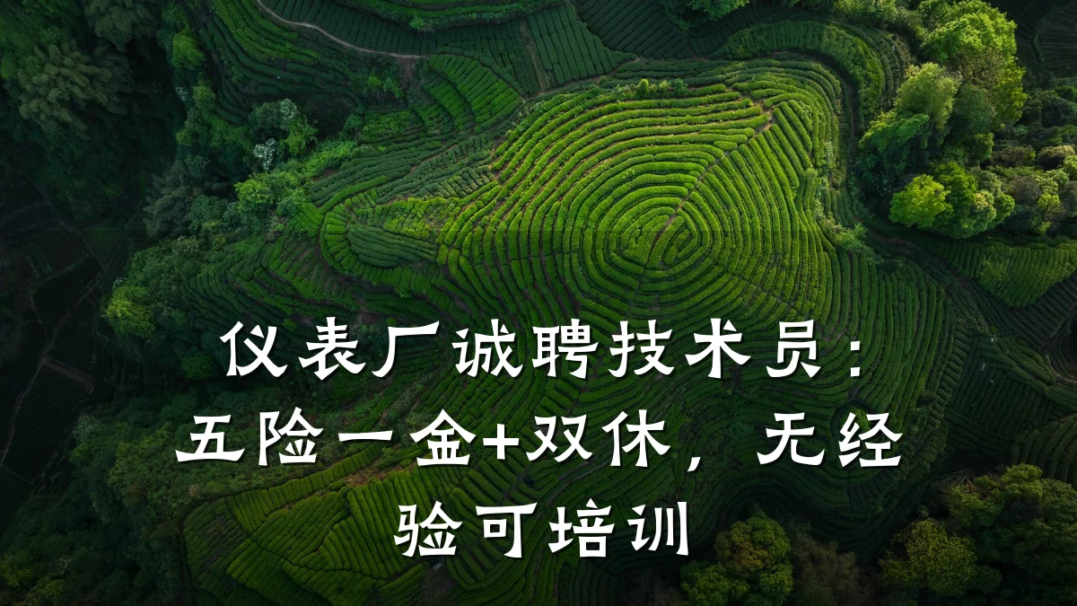 仪表厂诚聘技术员:五险一金+双休,无经验可培训