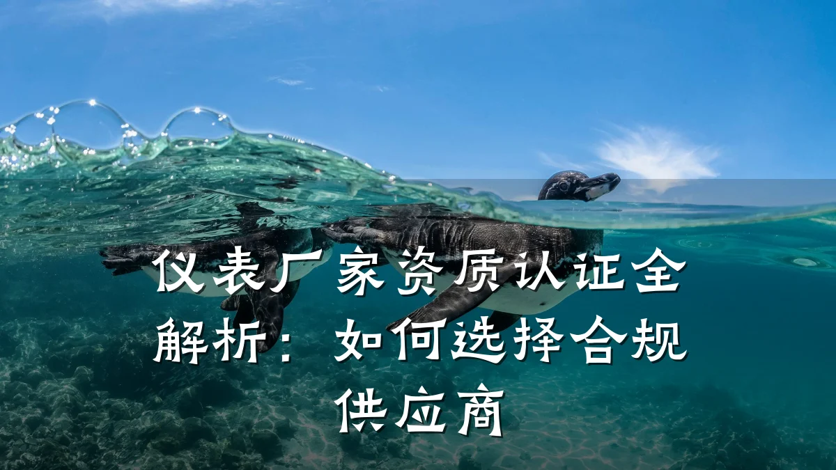 仪表厂家资质认证全解析:如何选择合规供应商