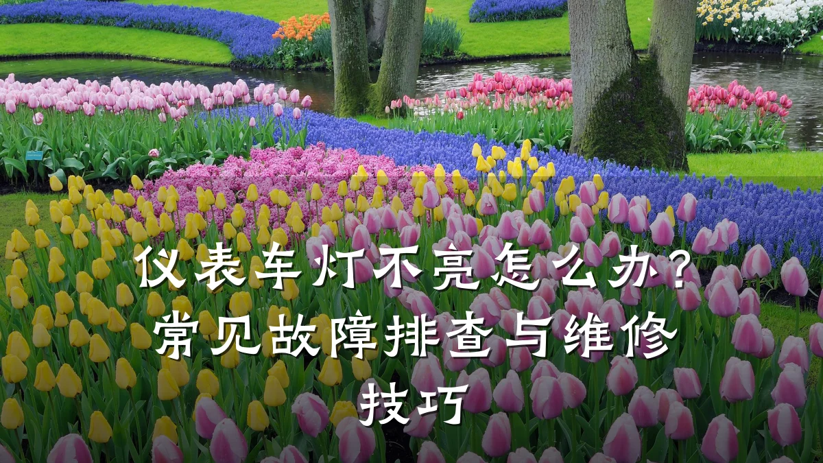 仪表车灯不亮怎么办？常见故障排查与维修技巧