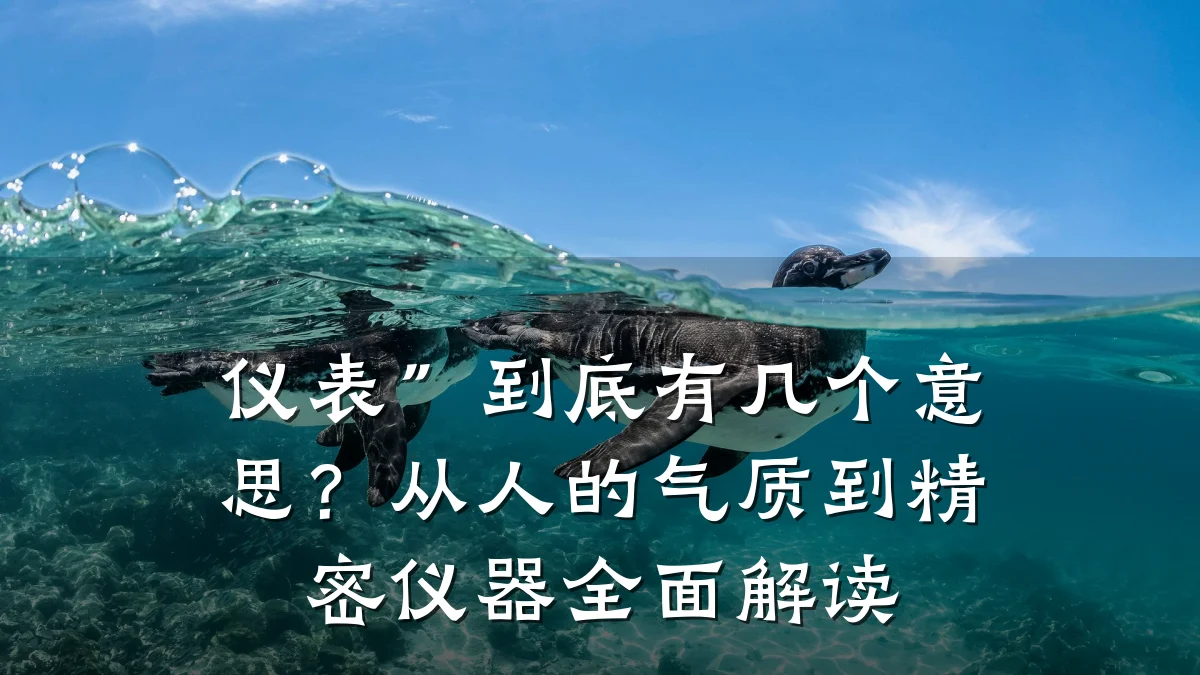 仪表”到底有几个意思?从人的气质到精密仪器全面解读
