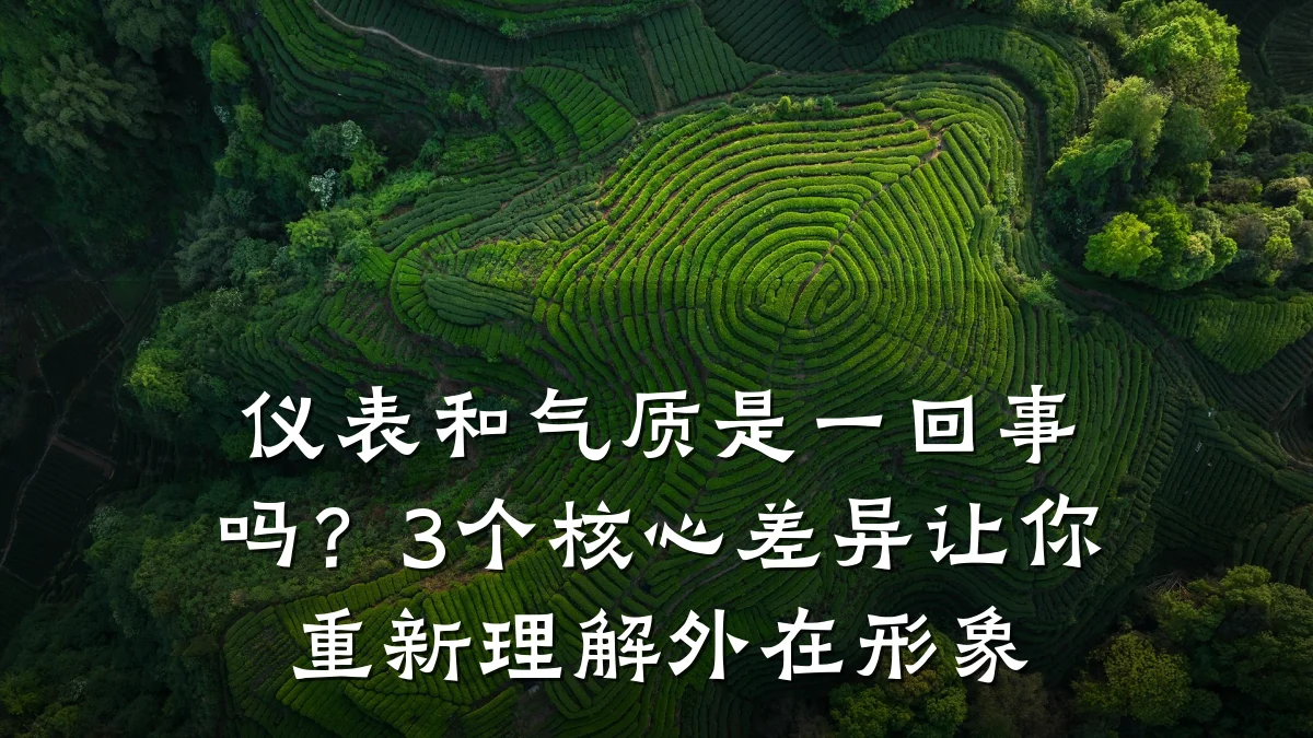 仪表和气质是一回事吗？3个核心差异让你重新理解外在形象