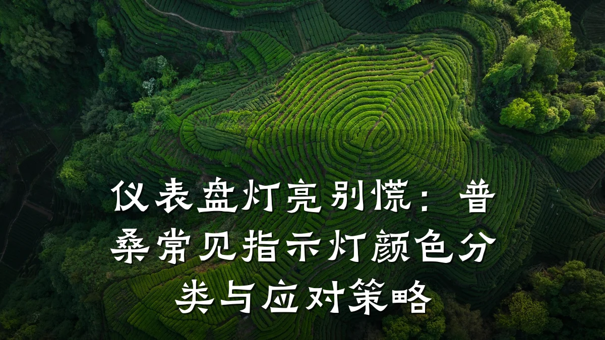 仪表盘灯亮别慌:普桑常见指示灯颜色分类与应对策略