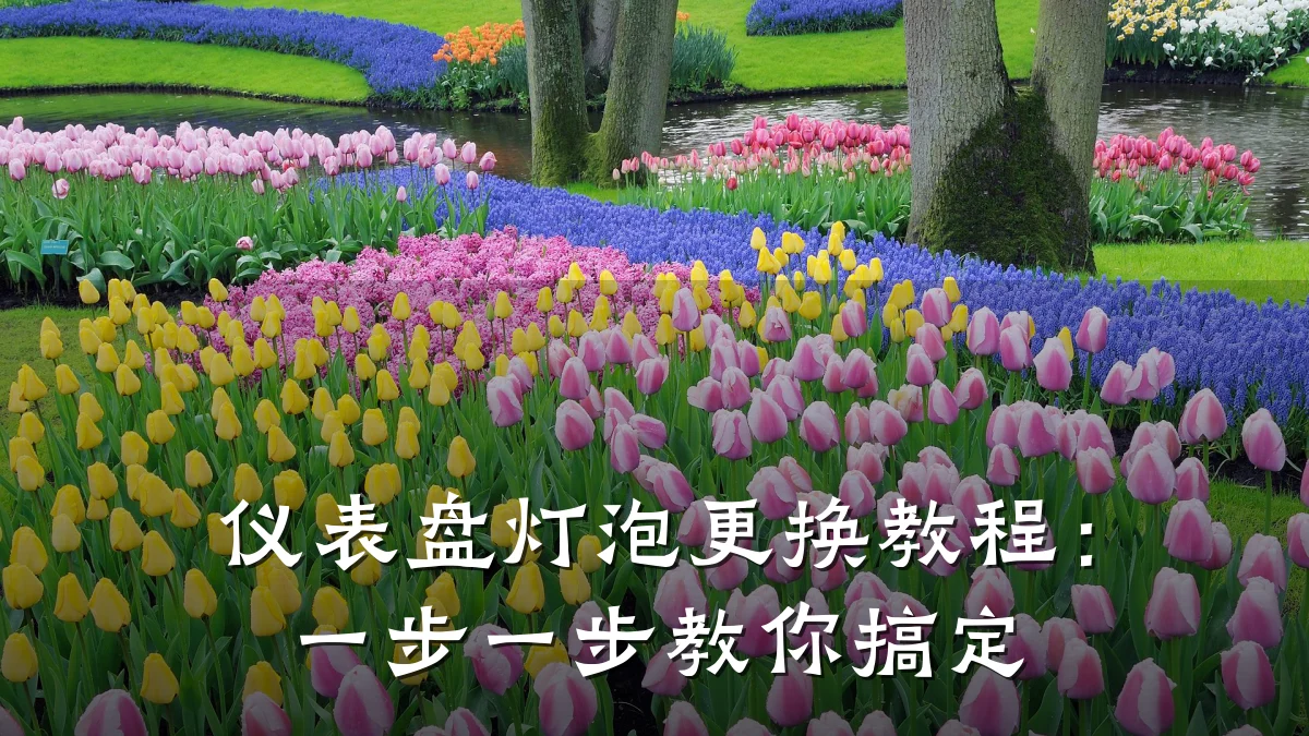 仪表盘灯泡更换教程:一步一步教你搞定