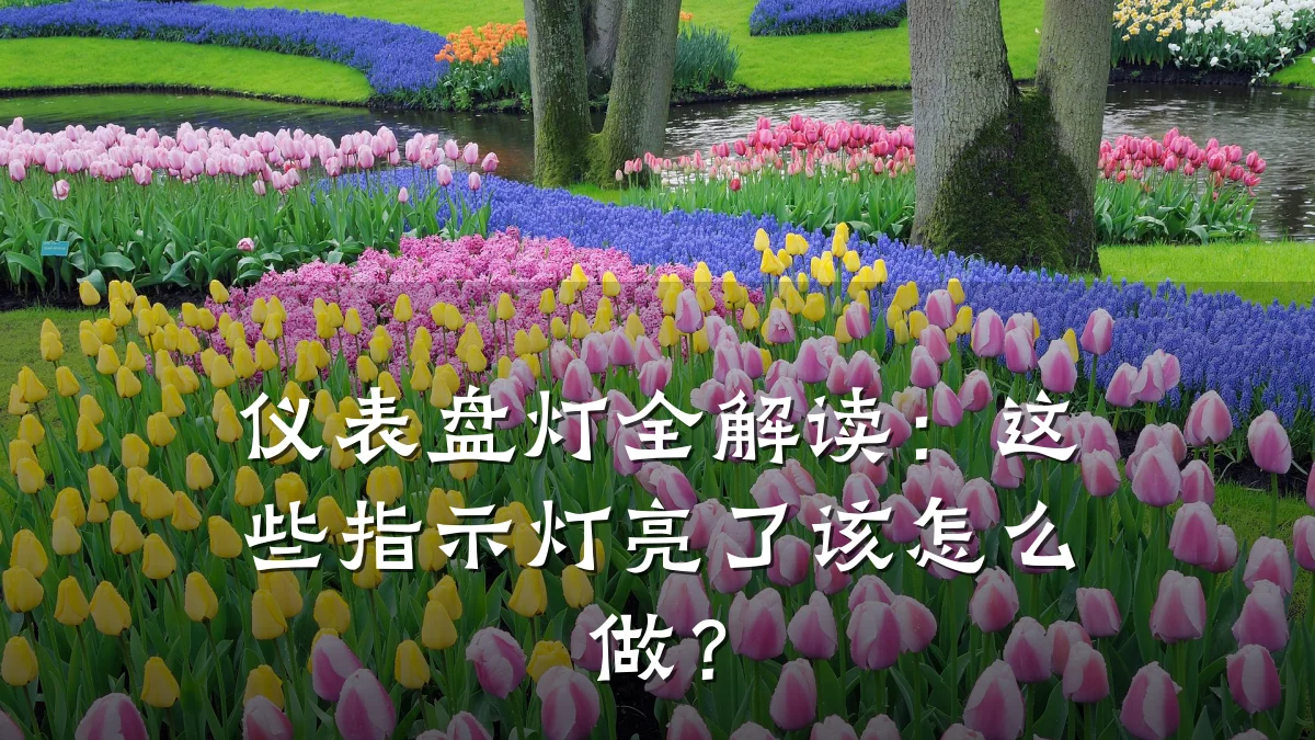 仪表盘灯全解读:这些指示灯亮了该怎么做?