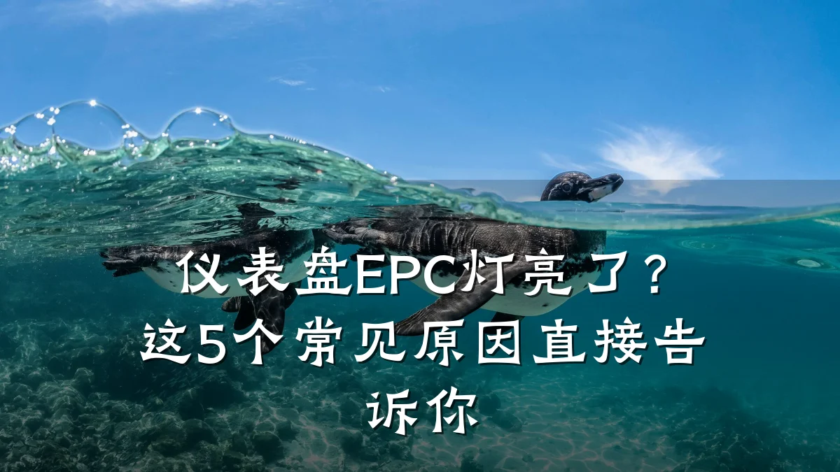 仪表盘EPC灯亮了？这5个常见原因直接告诉你