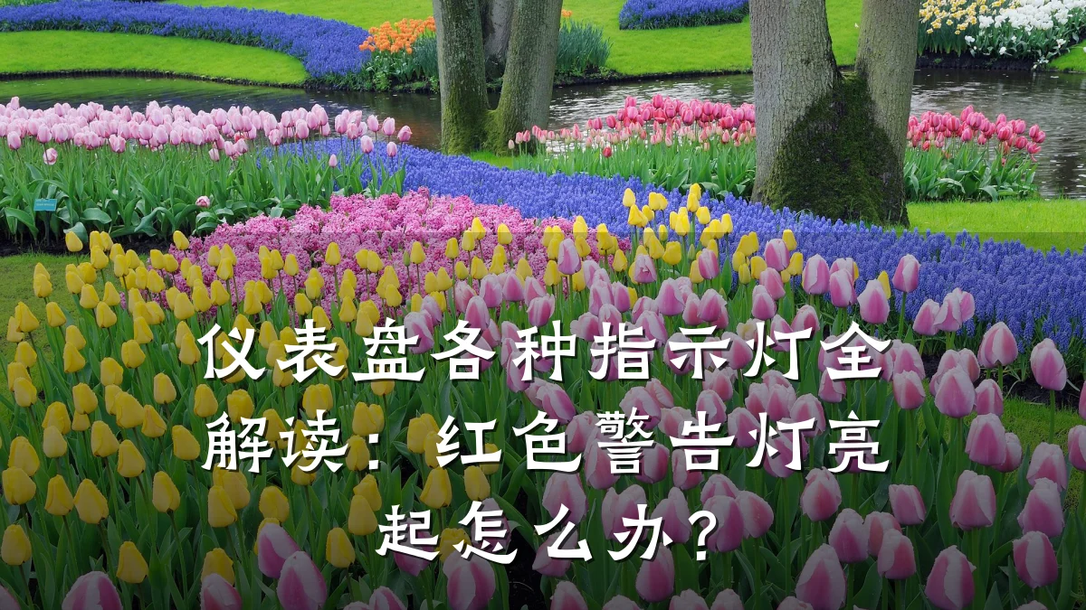 仪表盘各种指示灯全解读:红色警告灯亮起怎么办?
