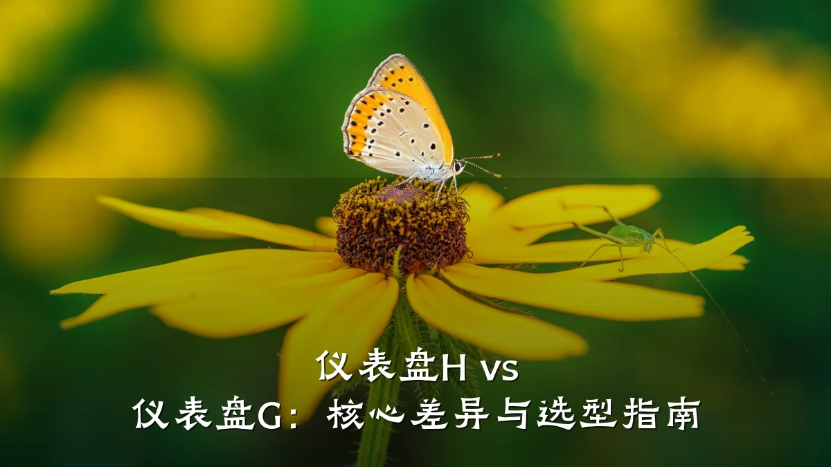 仪表盘H vs 仪表盘G:核心差异与选型指南