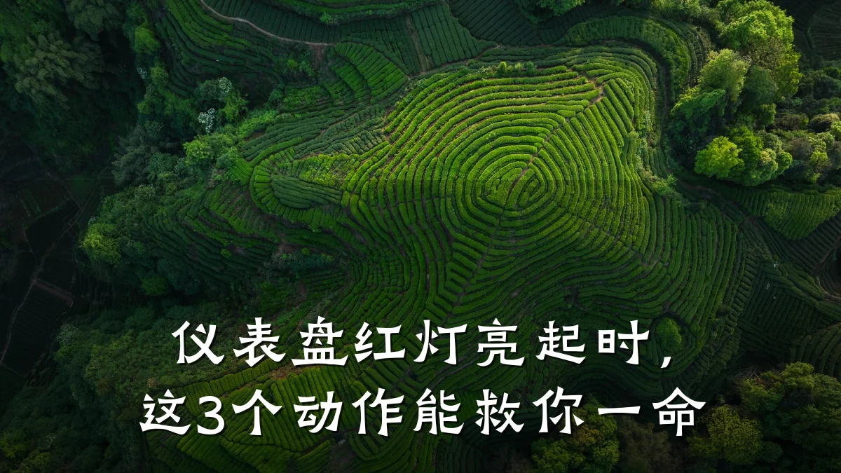 仪表盘红灯亮起时,这3个动作能救你一命