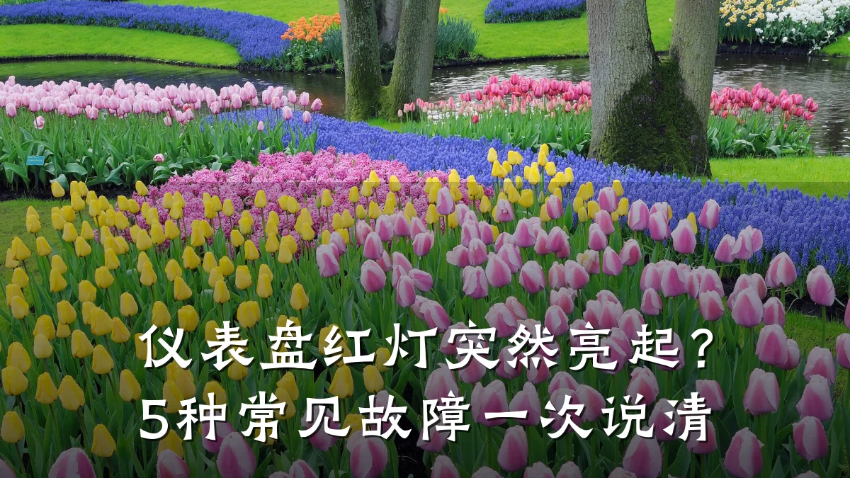 仪表盘红灯突然亮起?5种常见故障一次说清