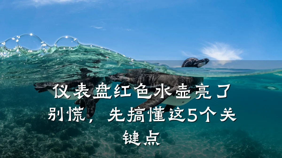 仪表盘红色水壶亮了别慌,先搞懂这5个关键点