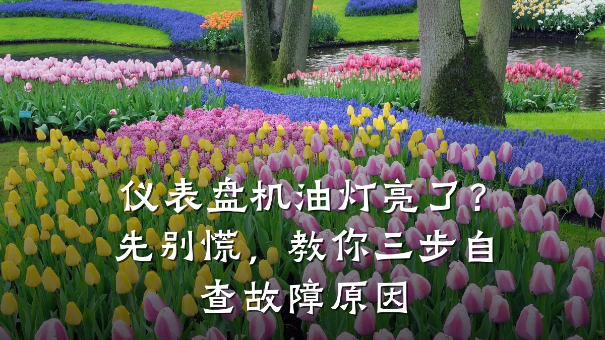 仪表盘机油灯亮了?先别慌,教你三步自查故障原因