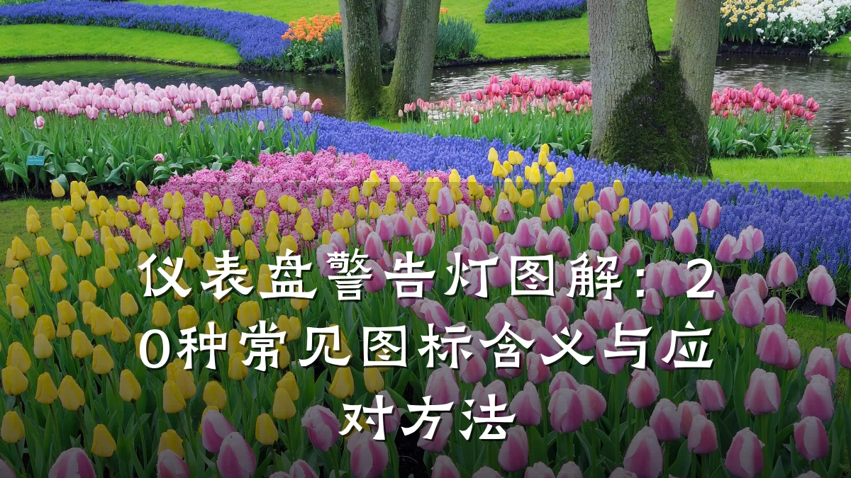 仪表盘警告灯图解：20种常见图标含义与应对方法