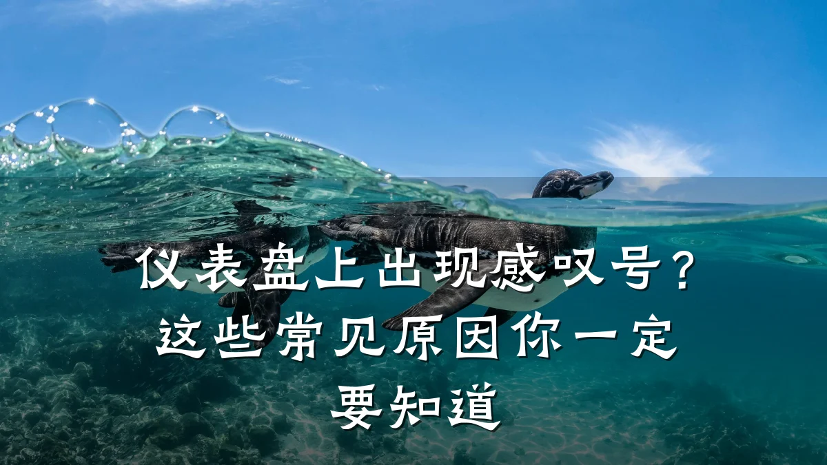 仪表盘上出现感叹号？这些常见原因你一定要知道