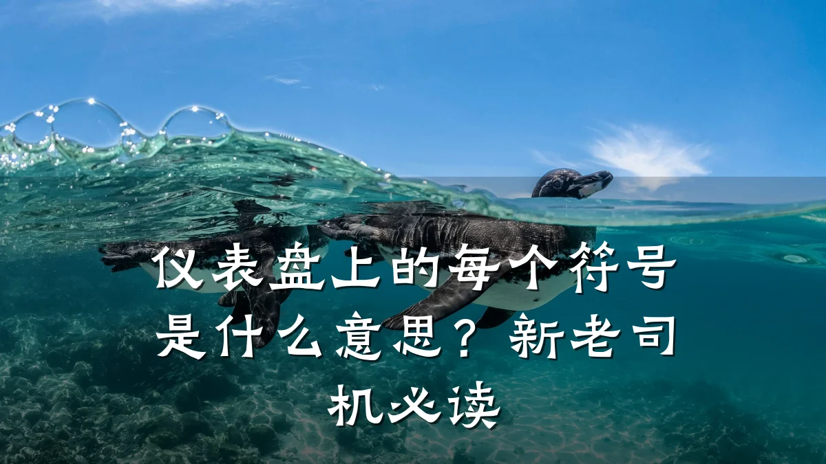 仪表盘上的每个符号是什么意思?新老司机必读