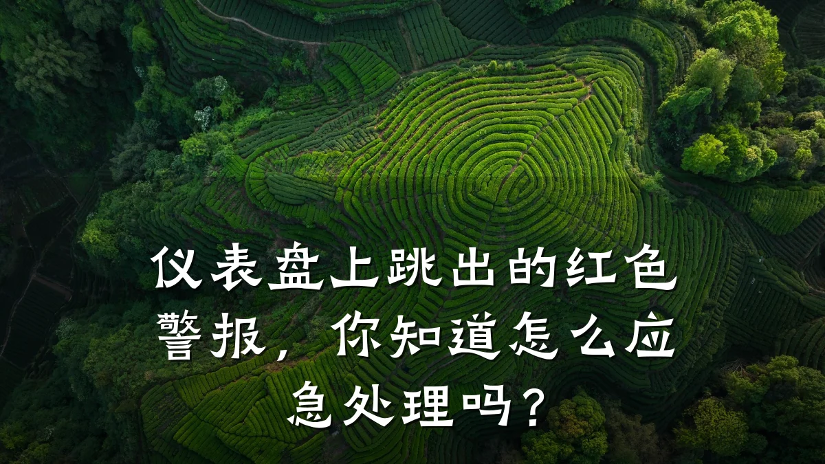仪表盘上跳出的红色警报,你知道怎么应急处理吗?