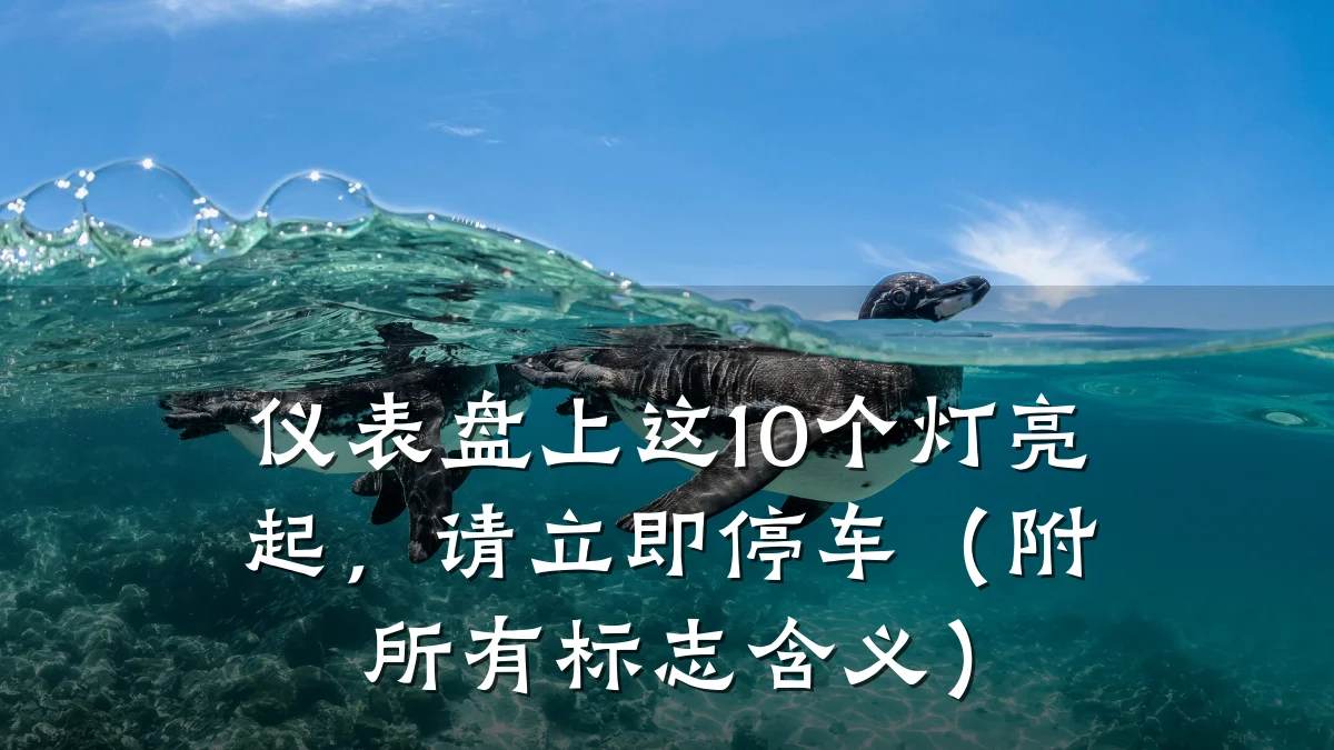 仪表盘上这10个灯亮起,请立即停车(附所有标志含义)