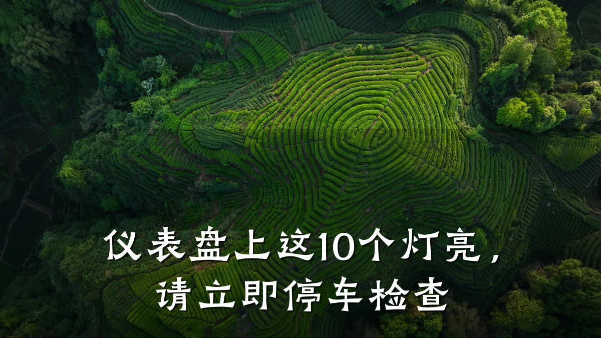 仪表盘上这10个灯亮,请立即停车检查