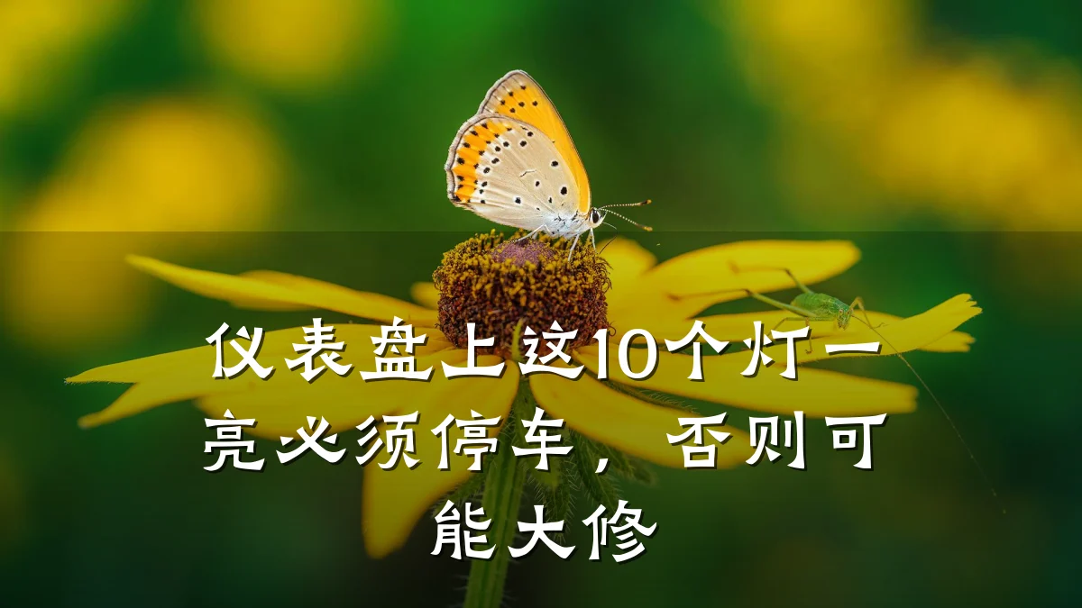 仪表盘上这10个灯一亮必须停车,否则可能大修