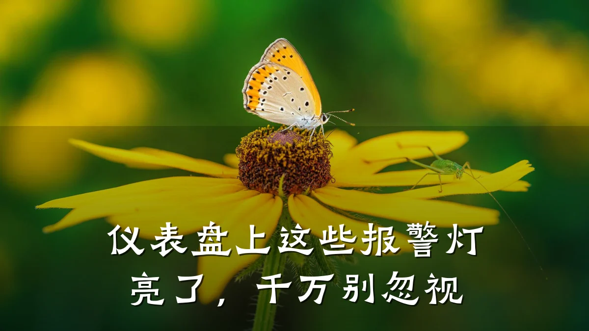 仪表盘上这些报警灯亮了,千万别忽视