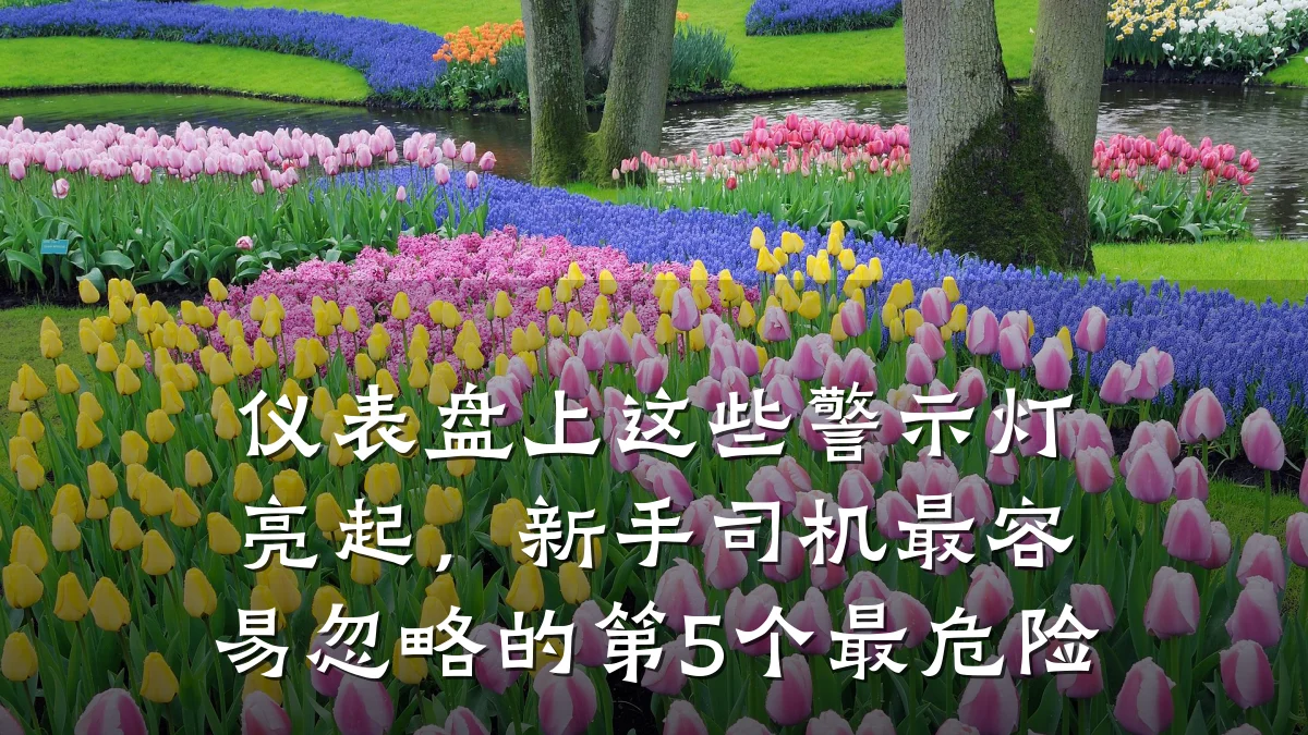 仪表盘上这些警示灯亮起,新手司机最容易忽略的第5个最危险