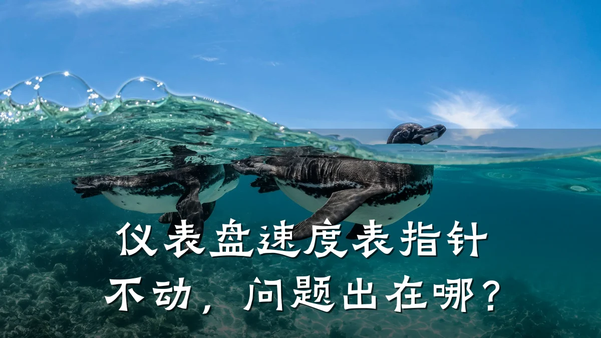 仪表盘速度表指针不动,问题出在哪?