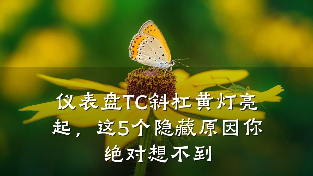仪表盘TC斜杠黄灯亮起,这5个隐藏原因你绝对想不到