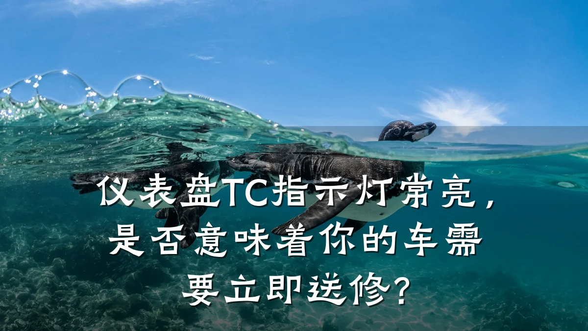 仪表盘TC指示灯常亮,是否意味着你的车需要立即送修?