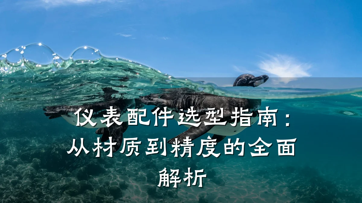 仪表配件选型指南:从材质到精度的全面解析