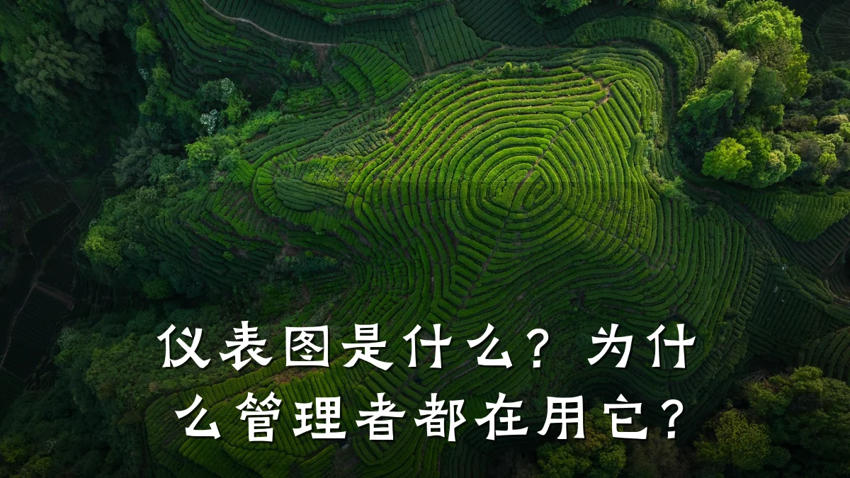 仪表图是什么?为什么管理者都在用它?