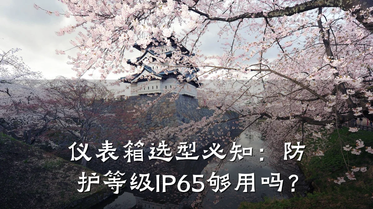仪表箱选型必知:防护等级IP65够用吗?