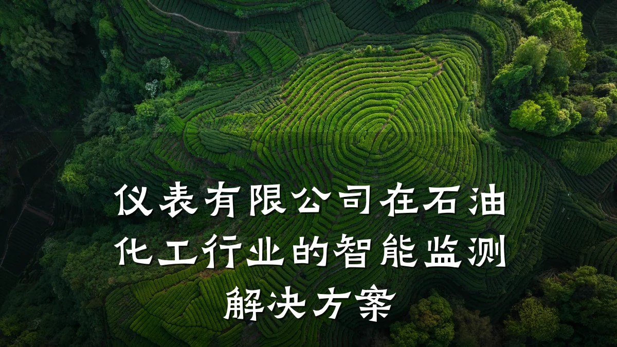 仪表有限公司在石油化工行业的智能监测解决方案