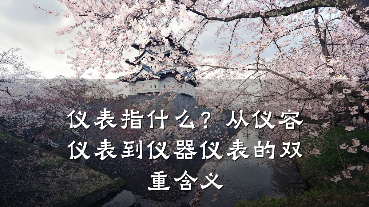 仪表指什么?从仪容仪表到仪器仪表的双重含义
