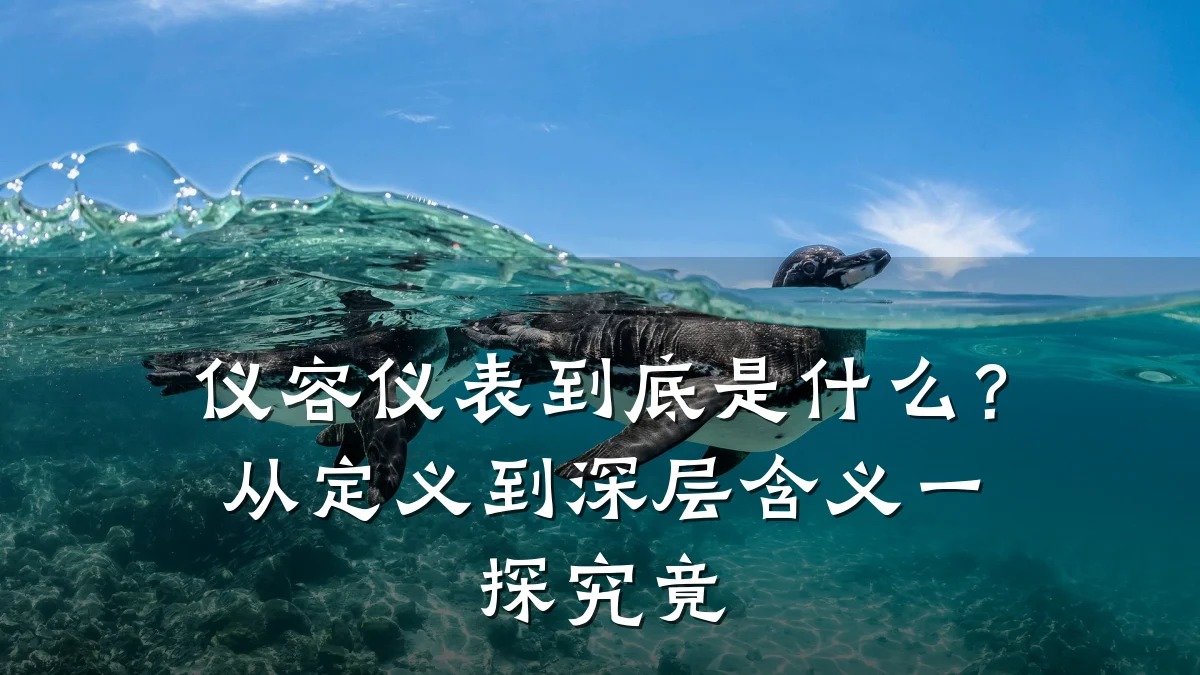 仪容仪表到底是什么?从定义到深层含义一探究竟