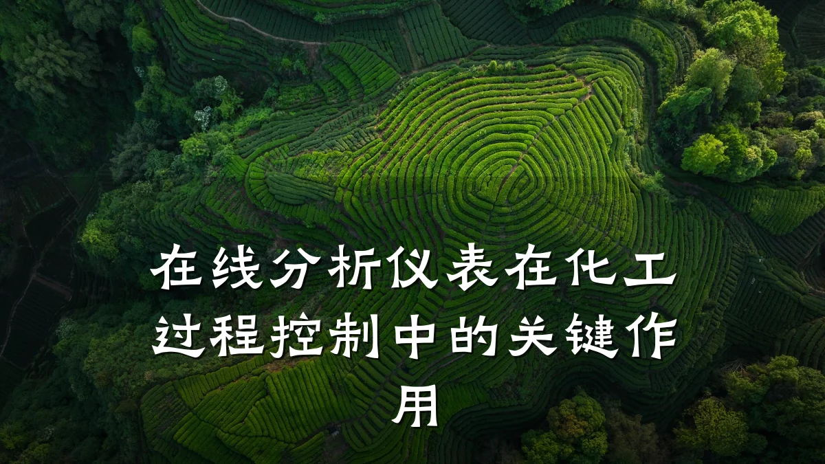 在线分析仪表在化工过程控制中的关键作用