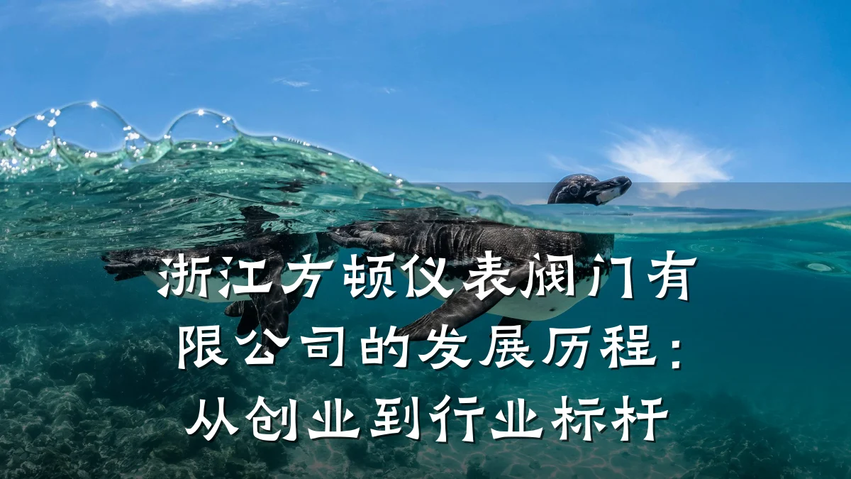 浙江方顿仪表阀门有限公司的发展历程：从创业到行业标杆