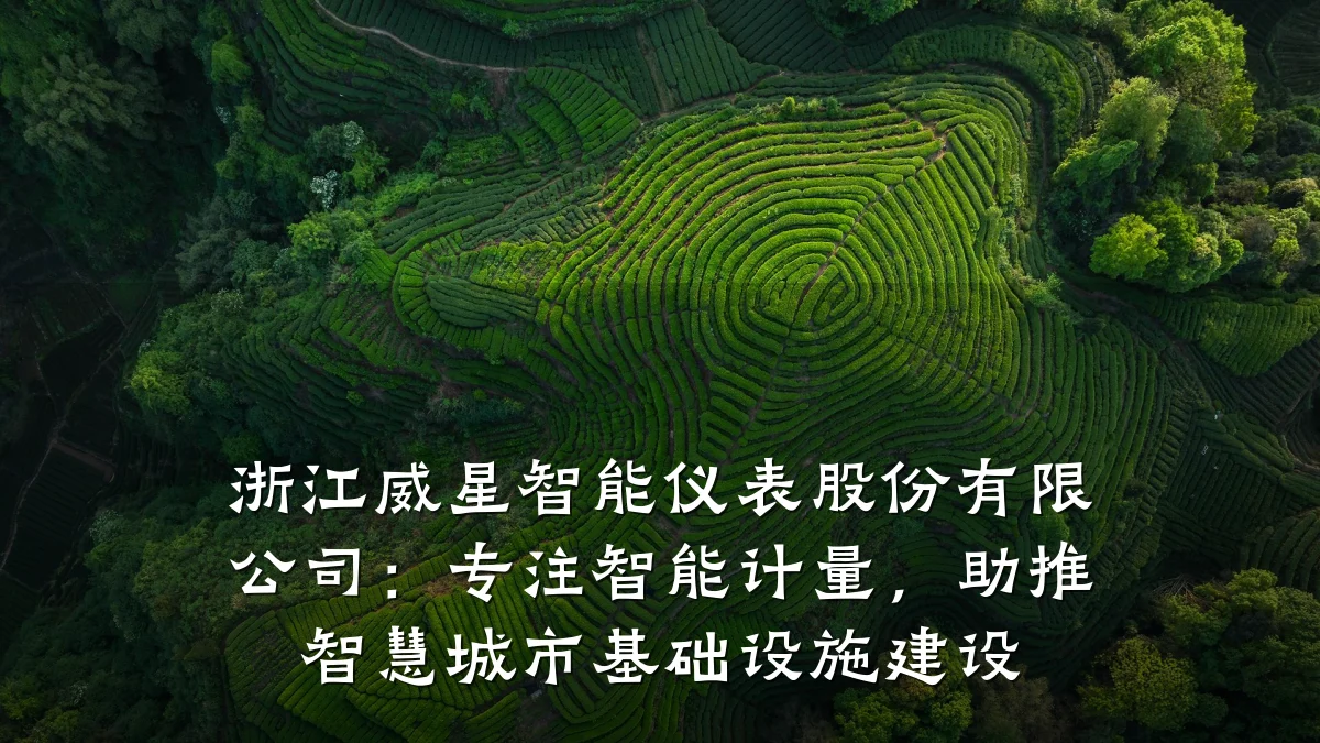 浙江威星智能仪表股份有限公司：专注智能计量，助推智慧城市基础设施建设