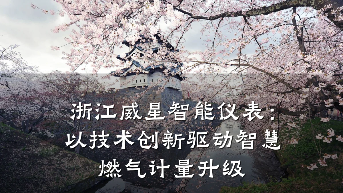 浙江威星智能仪表:以技术创新驱动智慧燃气计量升级