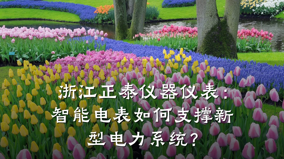 浙江正泰仪器仪表:智能电表如何支撑新型电力系统?