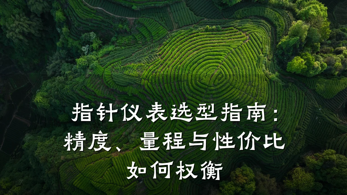 指针仪表选型指南:精度、量程与性价比如何权衡