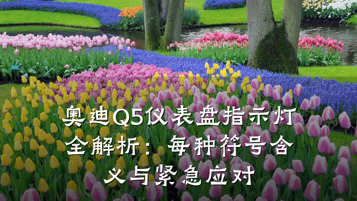 奥迪Q5仪表盘指示灯全解析:每种符号含义与紧急应对