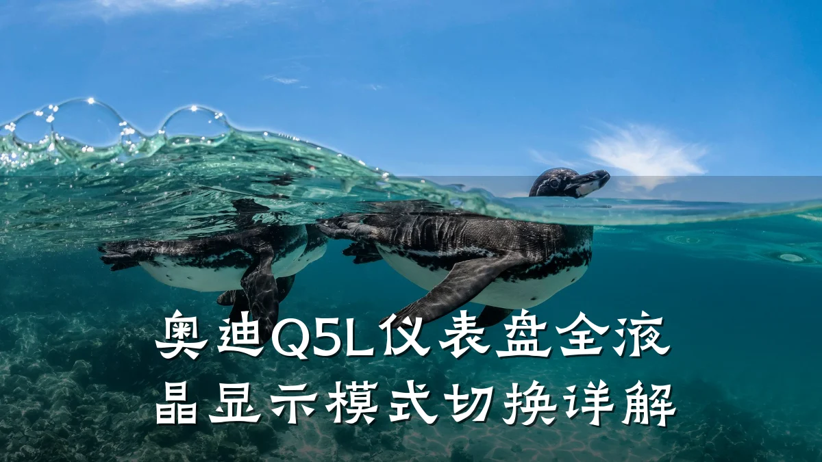 奥迪Q5L仪表盘全液晶显示模式切换详解