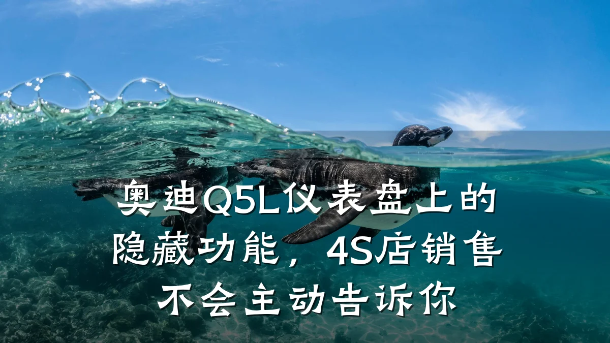 奥迪Q5L仪表盘上的隐藏功能，4S店销售不会主动告诉你