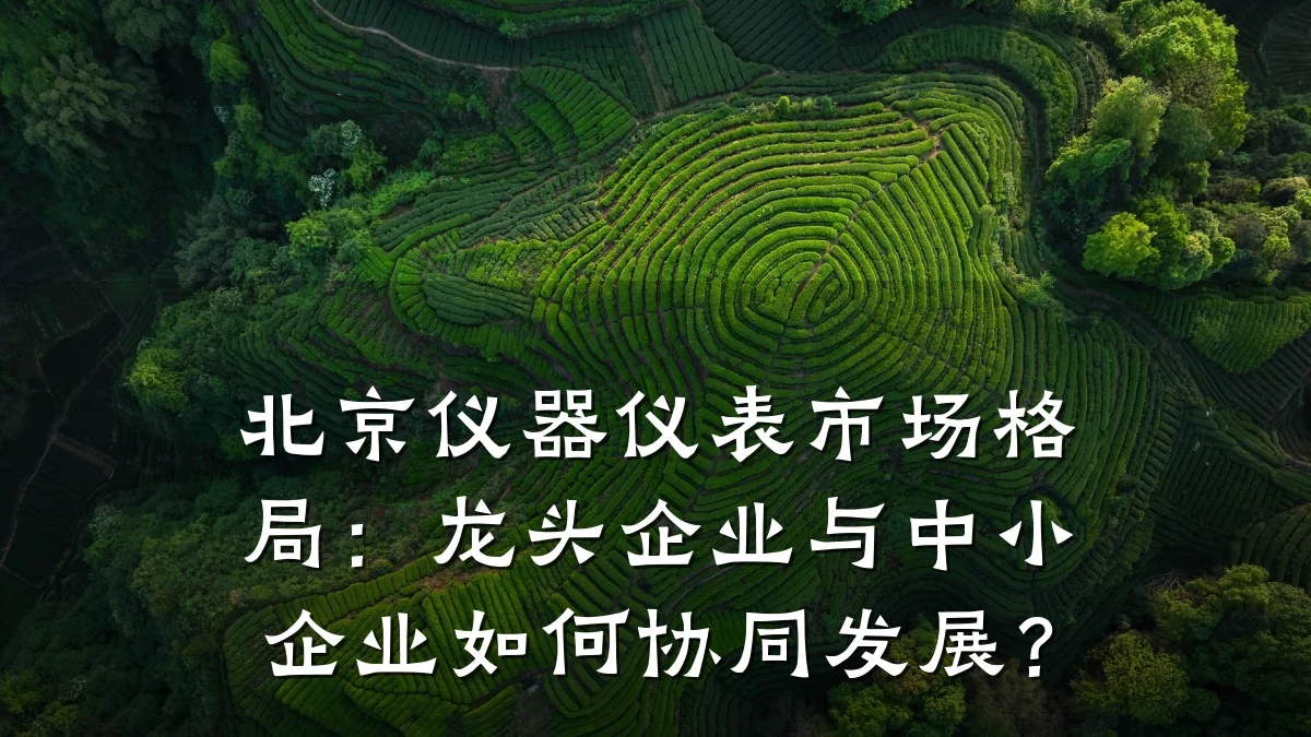 北京仪器仪表市场格局：龙头企业与中小企业如何协同发展？