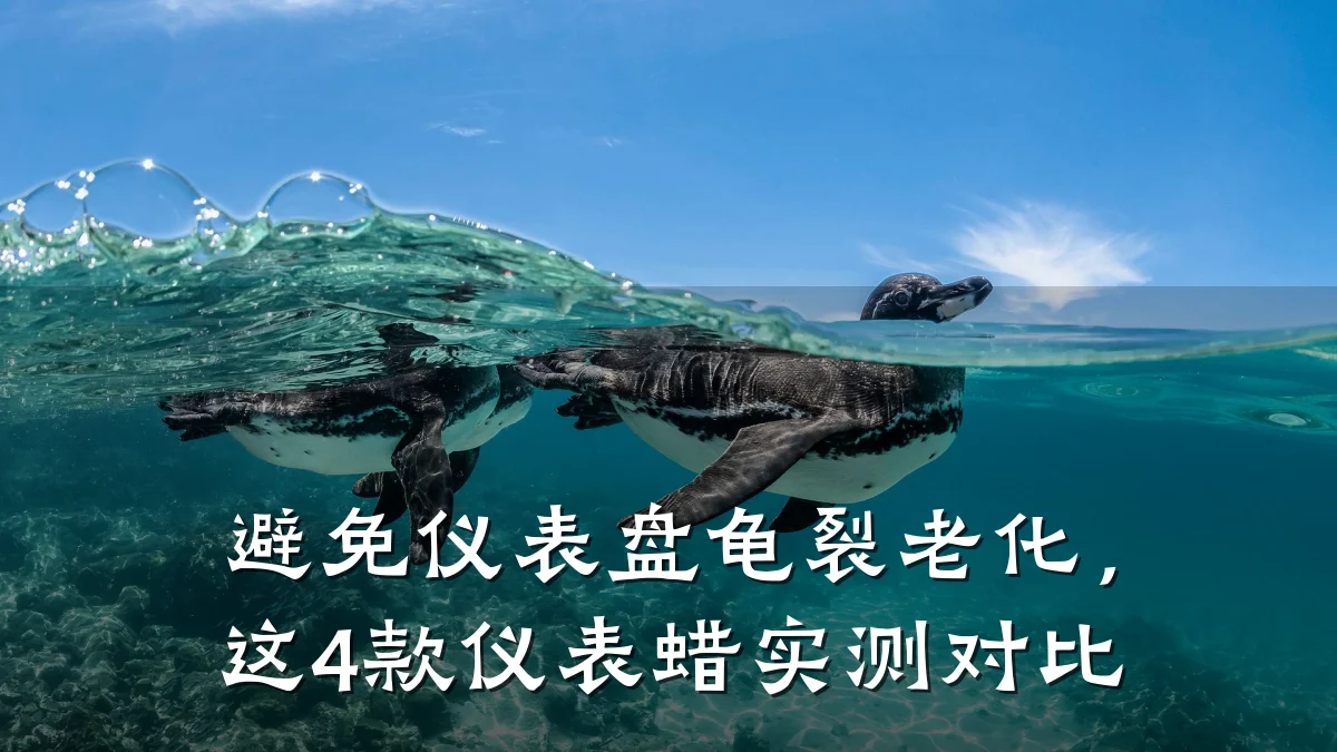 避免仪表盘龟裂老化,这4款仪表蜡实测对比