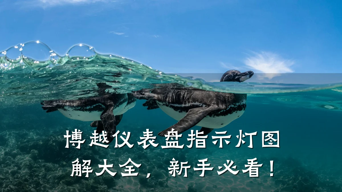 博越仪表盘指示灯图解大全,新手必看!