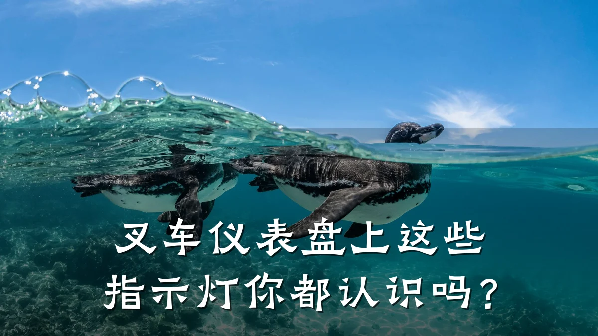 叉车仪表盘上这些指示灯你都认识吗?