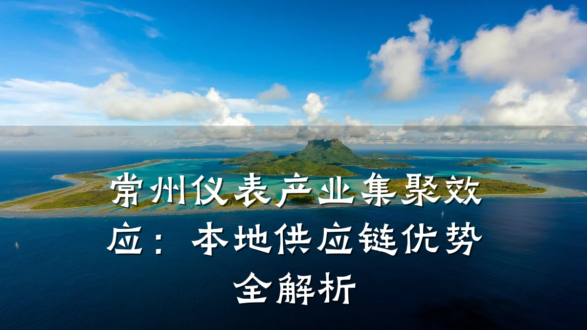 常州仪表产业集聚效应:本地供应链优势全解析