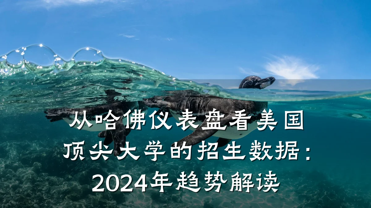 从哈佛仪表盘看美国顶尖大学的招生数据：2024年趋势解读