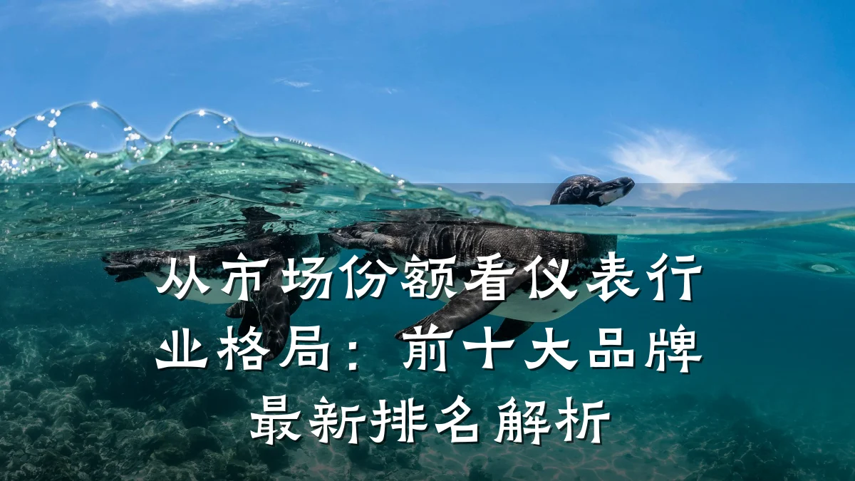 从市场份额看仪表行业格局:前十大品牌最新排名解析