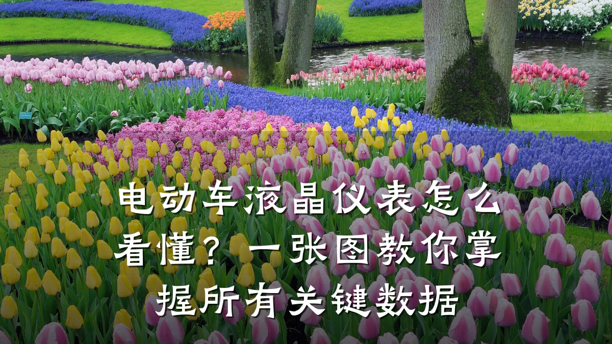 电动车液晶仪表怎么看懂?一张图教你掌握所有关键数据